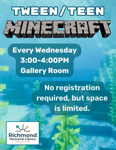 Tween/Teen Minecraft