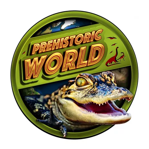 Children&#039;s Family Friday- Repco Reptiles
