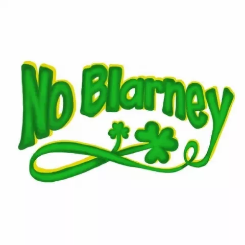 No Blarney: Traditional Irish Music with Rich Conroy and Don Bouchard