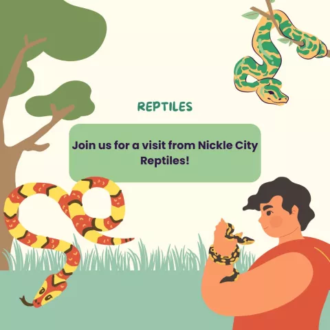 Family Friday presents Nickel City Reptiles