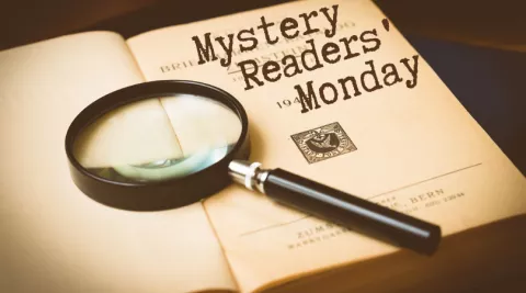 Mystery Readers&#039; Monday - The Framed Women of Ardemore House