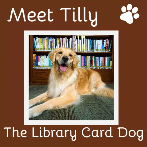 Tilly the Library Card Dog